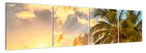 Obraz palmy na písečné pláži (160x40cm)