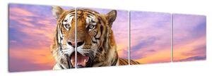 Obraz ležícího tygra (160x40cm)