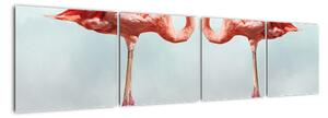 Plameňáci - obraz srdce (160x40cm)