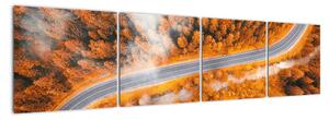 Cesta lesem - moderní obrazy na zeď (160x40cm)