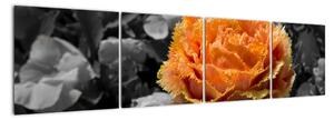 Oranžový květ na černobílém pozadí - obraz (160x40cm)