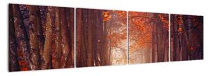 Podzimní les - obraz (160x40cm)