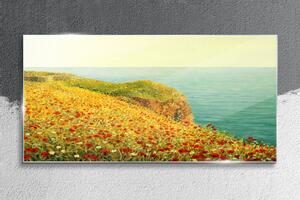 Obraz na skle Obraz na skle Květiny pobřeží útesu moře