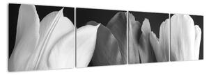 Černobílý obraz - tři tulipány (160x40cm)