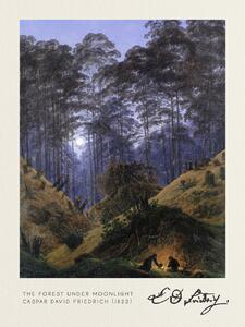Obrazová reprodukce The Forest under Moonlight (Vintage Fantasy Landscape) - Casper David Friedrich, (30 x 40 cm)