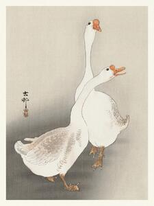 Obrazová reprodukce Two Geese (Japandi Vintage) - Ohara Koson, (30 x 40 cm)