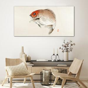 Obraz na skle Obraz na skle Moderní zvířata ryb