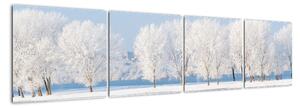 Obraz - zimní příroda (160x40cm)