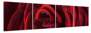 Obraz rudé růže (160x40cm)