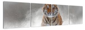 Obraz běžícího tygra (160x40cm)