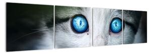 Obraz kočky, zářivé oči (160x40cm)