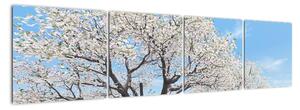 Obraz kvetoucího stromu na jarní louce (160x40cm)
