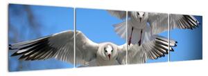 Obraz do bytu - ptáci (160x40cm)