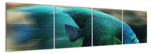 Obraz na stenu - ryby (160x40cm)