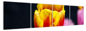 Obraz tulipánu (160x40cm)