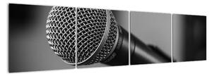Obraz mikrofonu (160x40cm)
