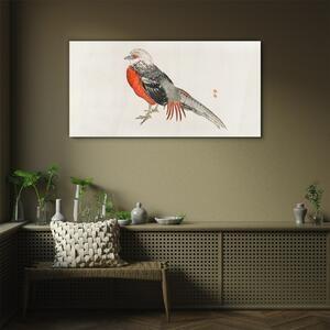 Obraz na skle Obraz na skle Moderní zvířecí pták