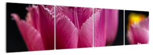 Tulipány - obrazy (160x40cm)