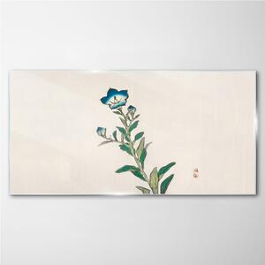 Obraz na skle Obraz na skle Asijské květiny rostliny