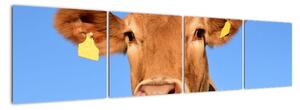 Obraz krávy (160x40cm)