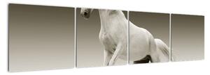 Obrazy bílého koně (160x40cm)