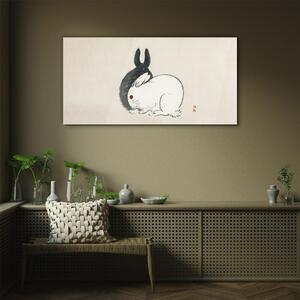 Obraz na skle Obraz na skle Králičí králík