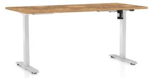 Výškově nastavitelný stůl OfficeTech A, 160 x 80 cm, bílá podnož, dub zlatý