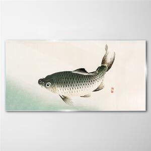 Obraz na skle Obraz na skle Rybí zvířata