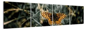 Obraz motýla (160x40cm)