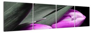 Obraz fialových tulipánů (160x40cm)