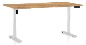 Výškově nastavitelný stůl OfficeTech B, 160 x 80 cm, bílá podnož, dub zlatý
