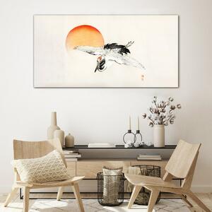 Obraz na skle Obraz na skle Zvířecí pták slunce