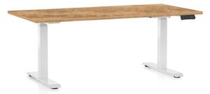 Výškově nastavitelný stůl OfficeTech C, 160 x 80 cm, bílá podnož, dub zlatý
