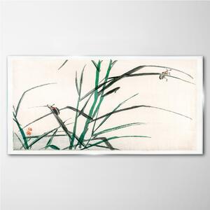 Obraz na skle Obraz na skle Asijské hmyz větve