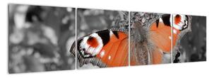 Oranžový motýl - obraz (160x40cm)