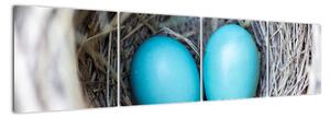 Obraz modrých vajíček v hnízdě (160x40cm)