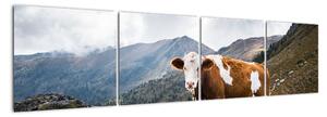 Obraz krávy na louce (160x40cm)
