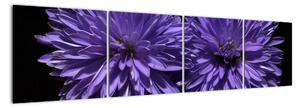 Obraz fialových květů (160x40cm)