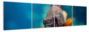 Obraz - ryba (160x40cm)