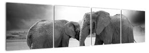Obraz - sloni (160x40cm)