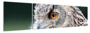 Vyhlížející sova - obraz (160x40cm)