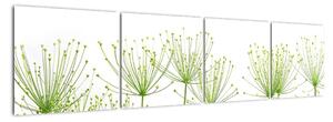 Obraz rostlin na bílém pozadí (160x40cm)