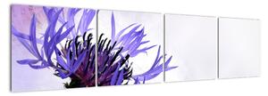 Obraz fialového květu (160x40cm)