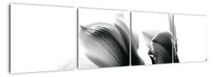Obraz černobílých květů (160x40cm)