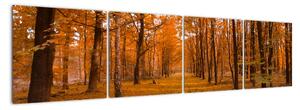 Obraz lesní cesty (160x40cm)
