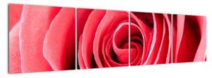 Obraz červené růže (160x40cm)