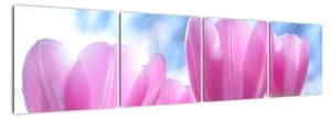 Obraz růžových tulipánů (160x40cm)