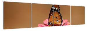 Obraz motýla (160x40cm)