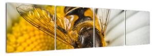 Obraz - detail včely (160x40cm)