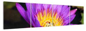 Obraz květiny (160x40cm)